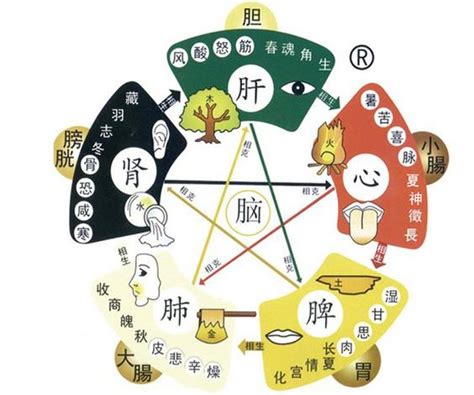 剋火|陰陽五行